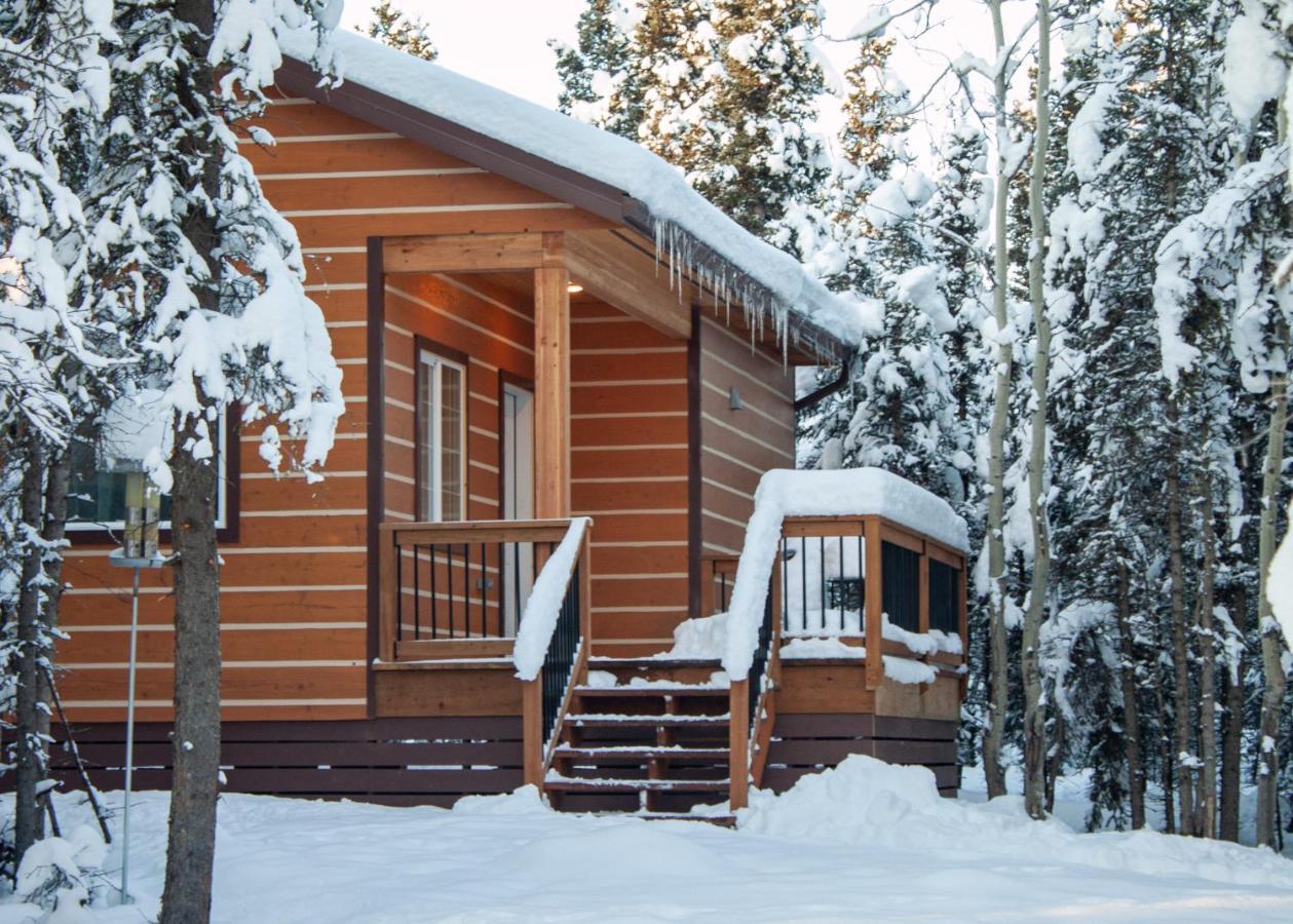 Denali Wild Stay - Moose Cabin, Free Wifi, 2 Private Bedrooms, Sleep 6 Healy Dış mekan fotoğraf